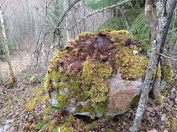 В Ленобласти  обнаружены камни, обозначавшие границы Ништадтского мира